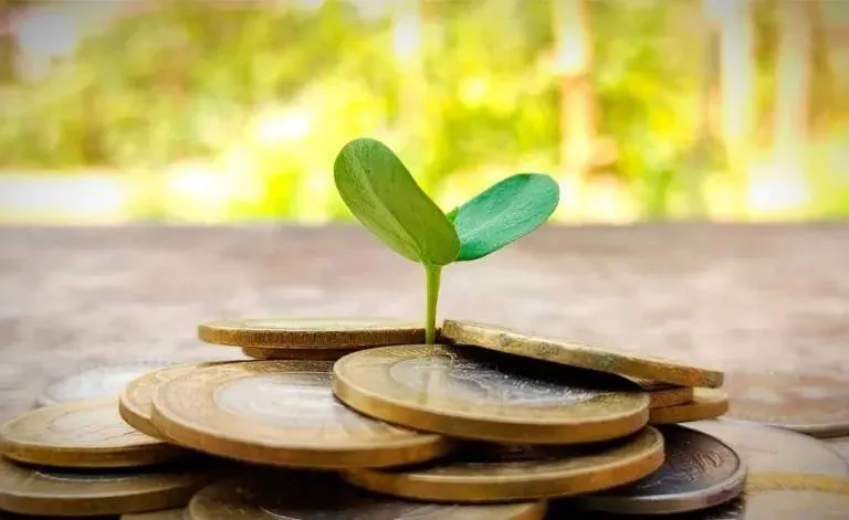 finanzas-verdes-pymes-mejores-practicas