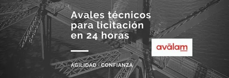 avalam avales tecnicos licitacion