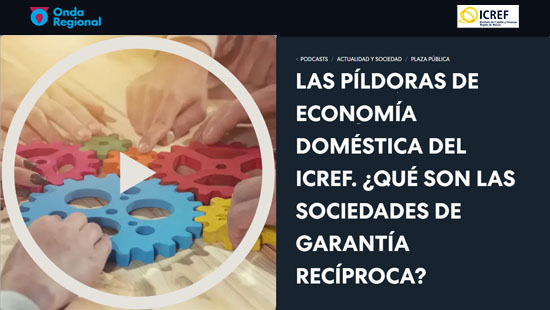 orm-icref-que-son-las-sociedades-de-garantia